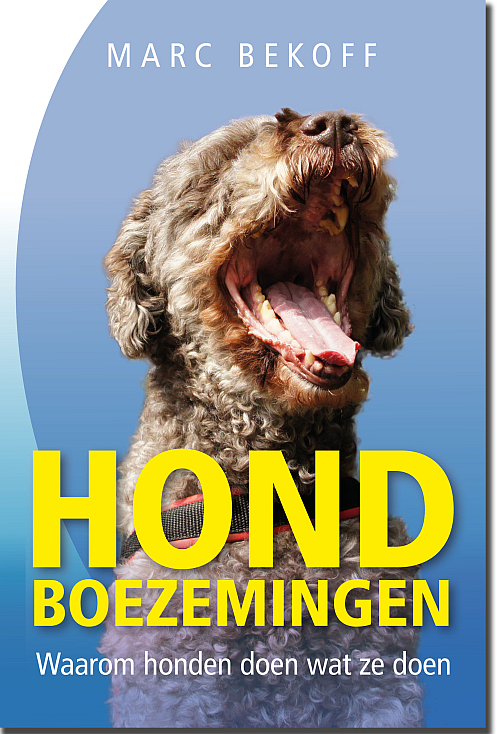 Hondboezemingen